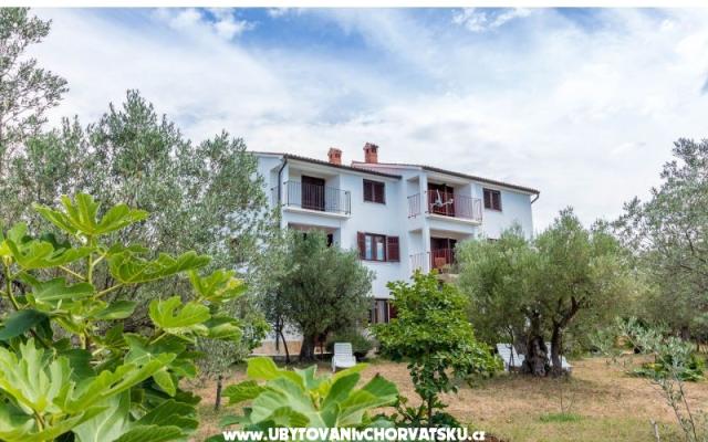 Apartmanok Amalia Fažana – Szálláshely Fazana Horvátország