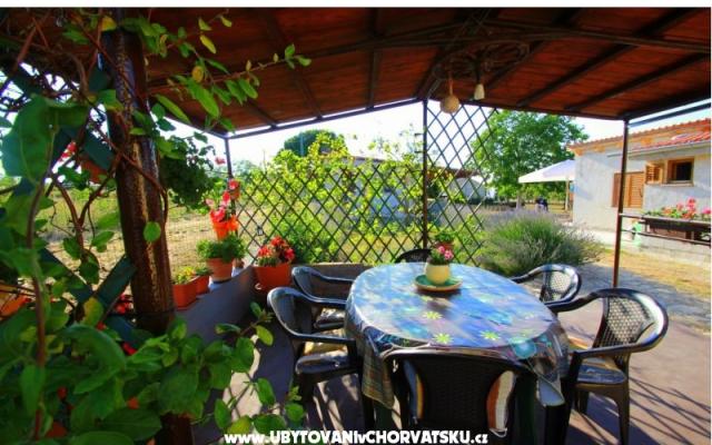 Apartman Sandra  – Szálláshely Fazana Horvátország