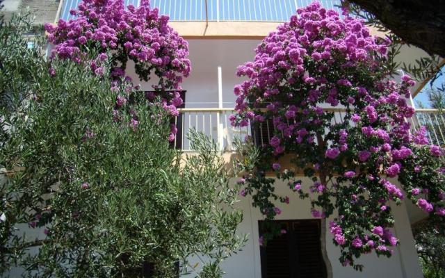 Apartman Gradac Falak – Szálláshely Gradac – Podaca Horvátország