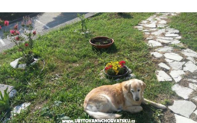 Mini Tábor Podaca – Szálláshely Gradac – Podaca Horvátország
