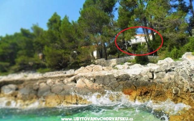 Apartmanok Marica P. – Szálláshely Korcula sziget Horvátország