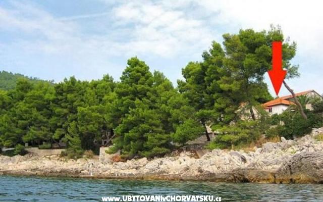 Vakáció Villa Antea – Szálláshely Korcula sziget Horvátország
