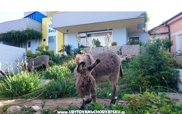 Villa Suzi – Szálláshely Kraljevica Horvátország