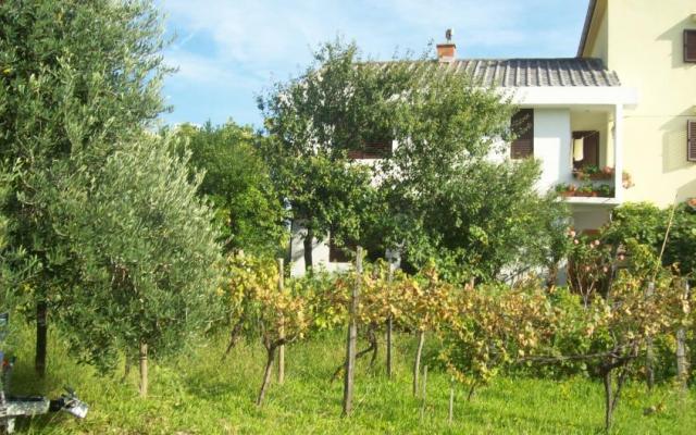Apartmanok Vasilić – Szálláshely Krk sziget Horvátország