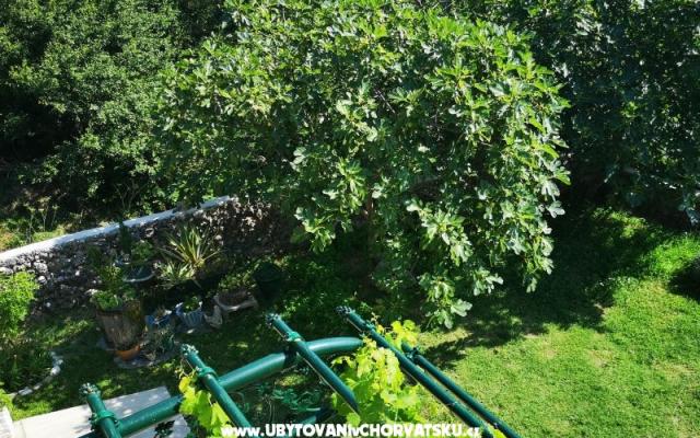 Apartmanok Garden paradise – Szálláshely Makarska Horvátország