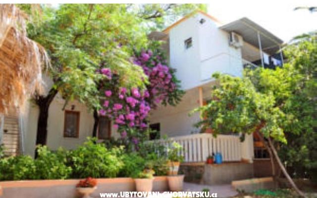 Apartmanok Oaza – Szálláshely Makarska Horvátország