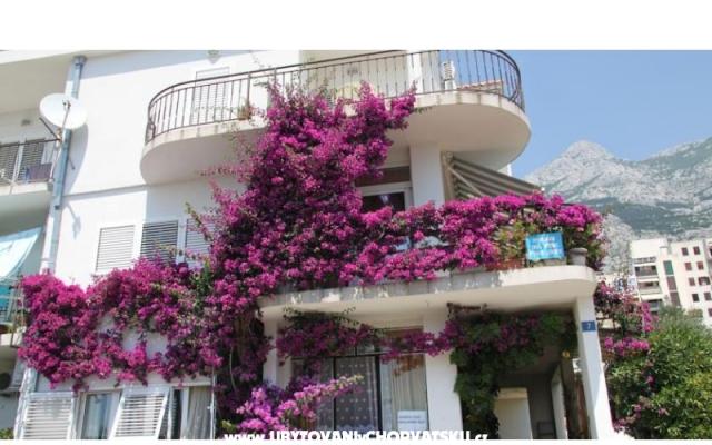 Apartmanok ANTE – Szálláshely Makarska Horvátország