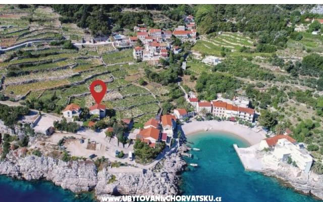 Two olive trees – Szálláshely Orebic – Peljesac Horvátország