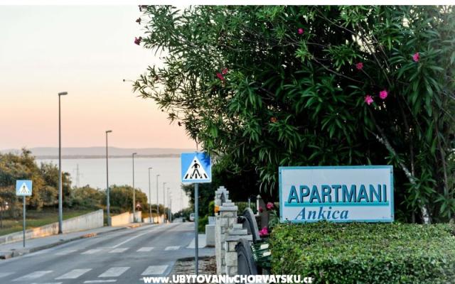 Apartmanok Ankica – Szálláshely Petrcane Horvátország