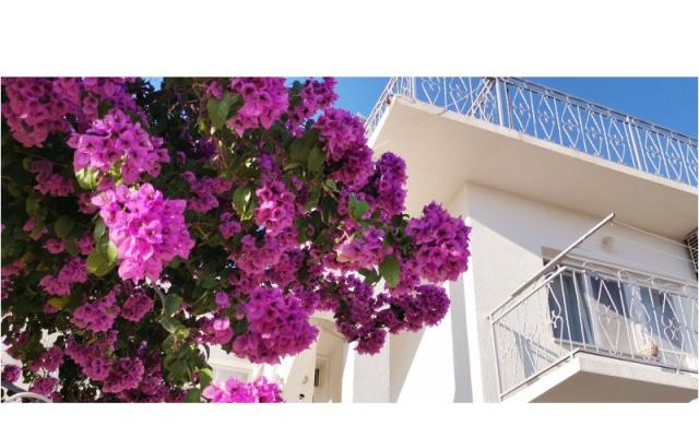 Apartman Mare – Szálláshely Sibenik Horvátország