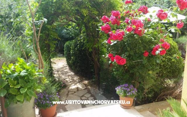 Vila Arboretum Šibenik – Szálláshely Sibenik Horvátország