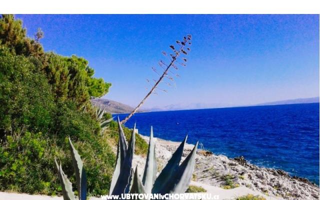 Goga Apartmanok – Szálláshely Trogir Horvátország