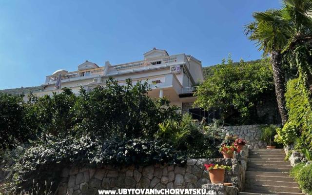Vila Nautilus luxury Apartmanok – Szálláshely Trpanj – Peljesac Horvátország