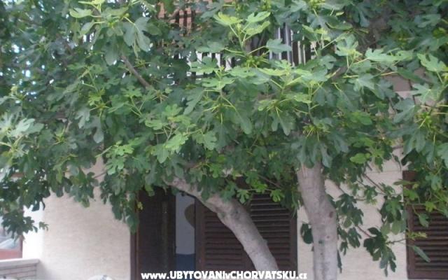 Apartmanok  Smokva   – Szálláshely Vodice Horvátország
