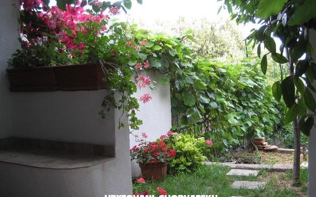 Apartmanok Brajković – Szálláshely Zivogosce Horvátország