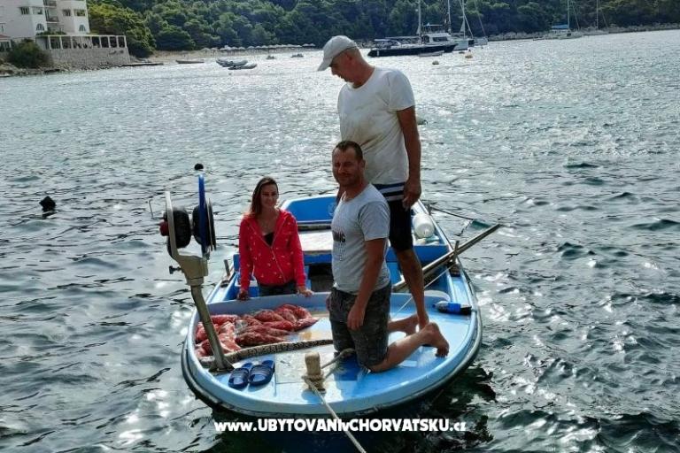 Apartmanok Ivo Mljet – fotó 5