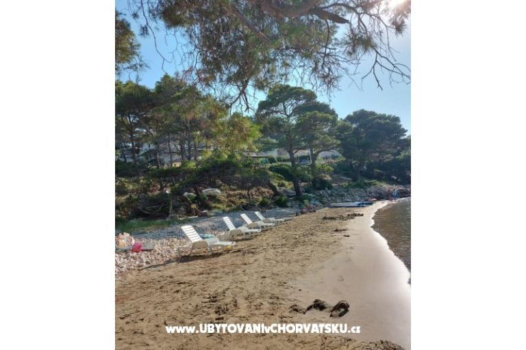 Apartmanok Ivo Mljet – fotó 8