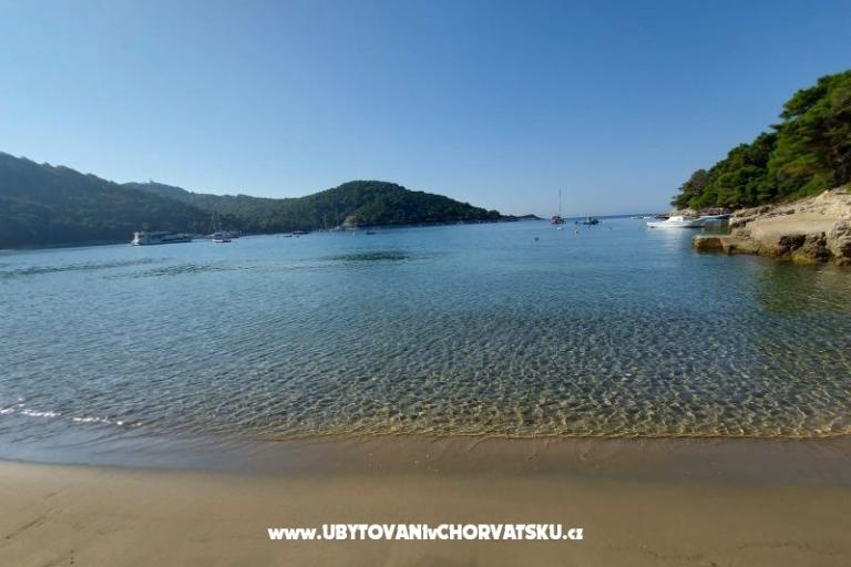 Apartmanok Ivo Mljet – fotó 9
