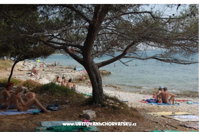 Apartman Perla – fotó 17