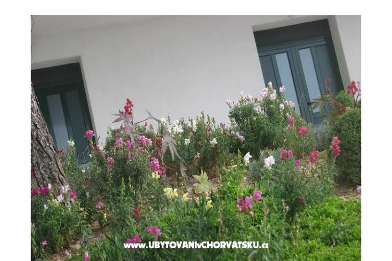 Ana Apartmanok – fotó 11