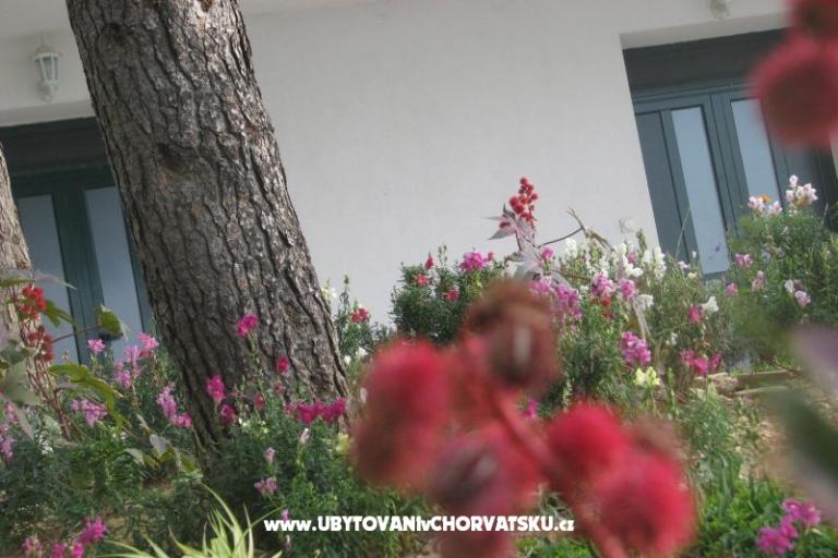Ana Apartmanok – fotó 18
