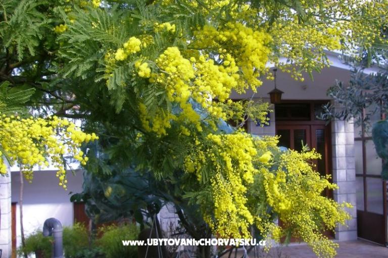 Apartmanok Bašković – fotó 17