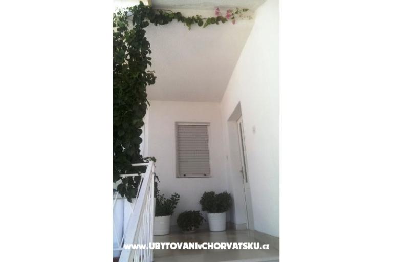 Apartmanok Carević – fotó 2