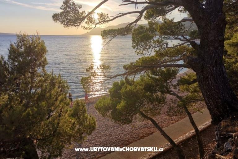 Apartmanok Divić - Villa Mateo  – fotó 27