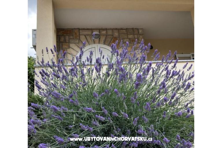 Apartmanok Iva – fotó 10