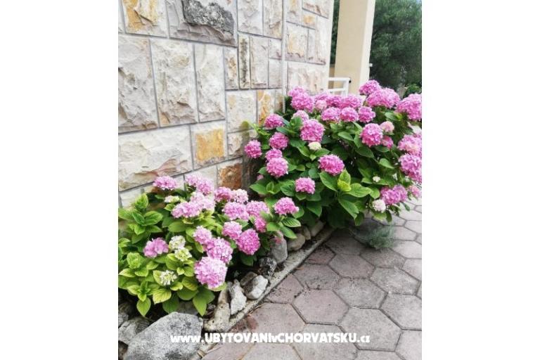 Apartmanok Iva – fotó 12