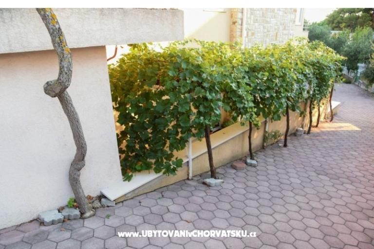 Apartmanok Iva – fotó 13
