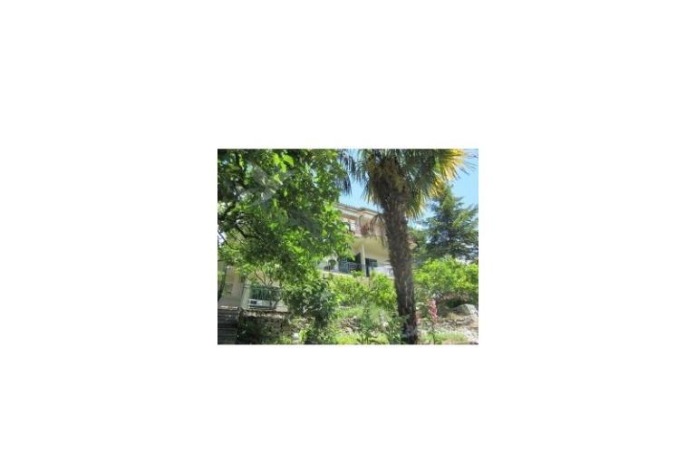 Apartmanok Mimoza – fotó 14