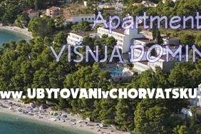 Apartmanok Mimoza – fotó 8