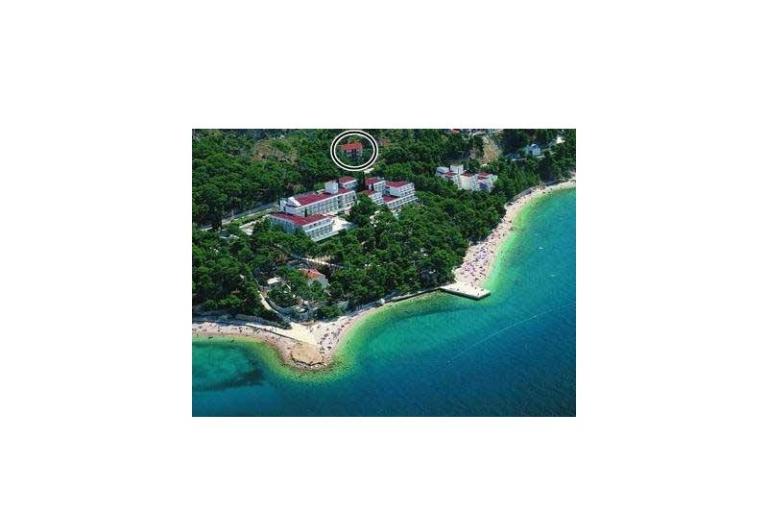 Apartmanok Mimoza – fotó 9