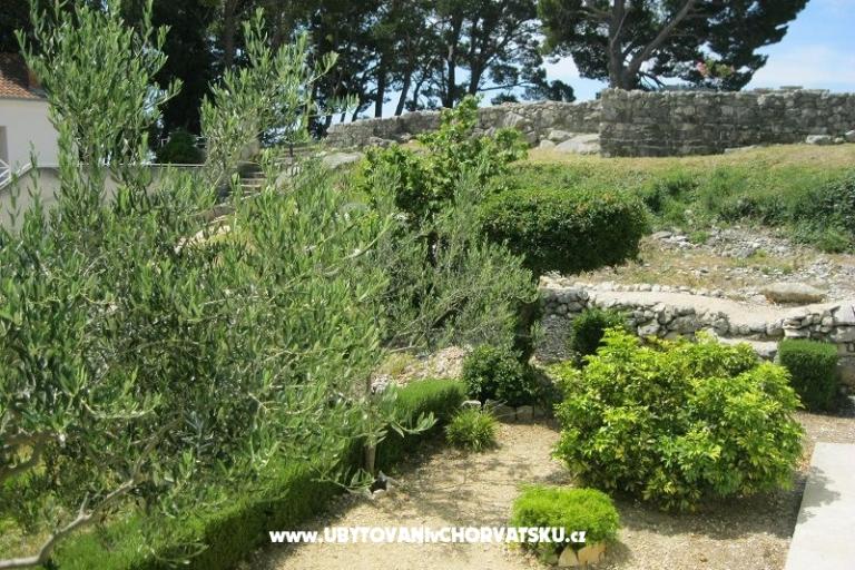Apartmanok Paula Baska Voda 6 apart – fotó 12