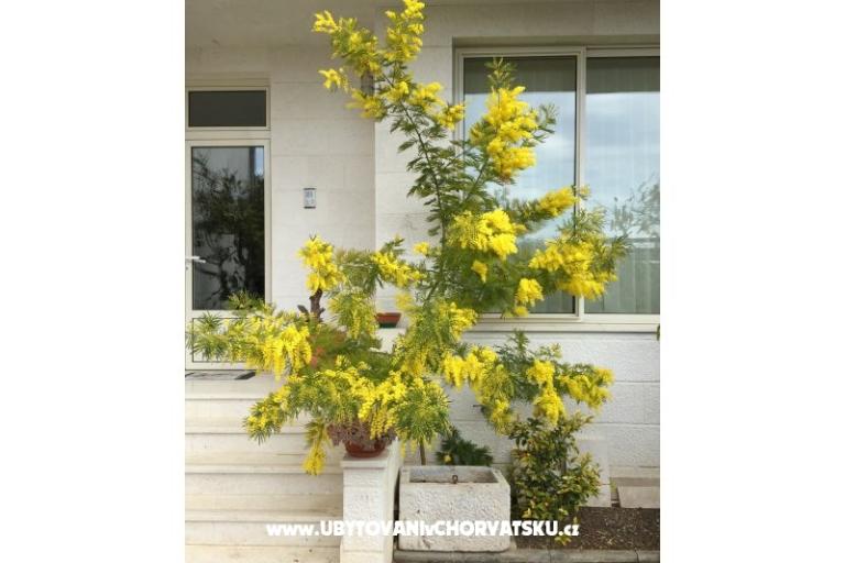 Ház Grazia – fotó 7