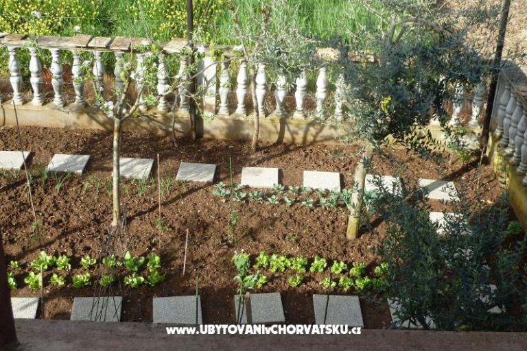 Apartman Petar i Agica Sabljak – fotó 14
