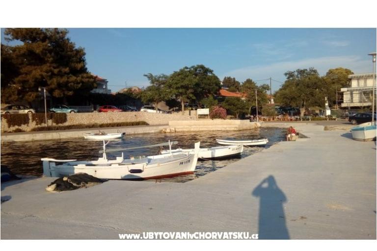 APARTMAN PAULINA/BIBINJE:4+2/STUDIO – fotó 18