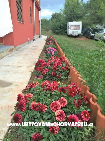 Apartmanok Gabrijel – fotó 3