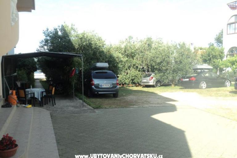 Apartmanok  Maslina – fotó 6