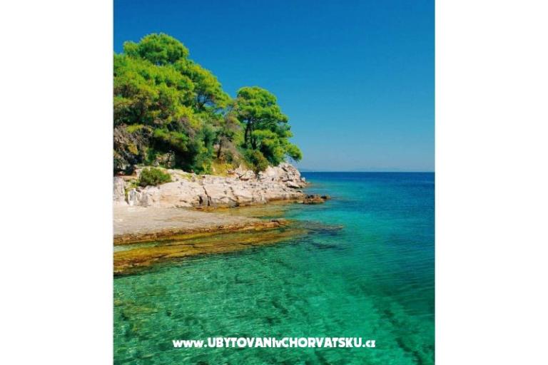 Apartmanok Mira – fotó 17