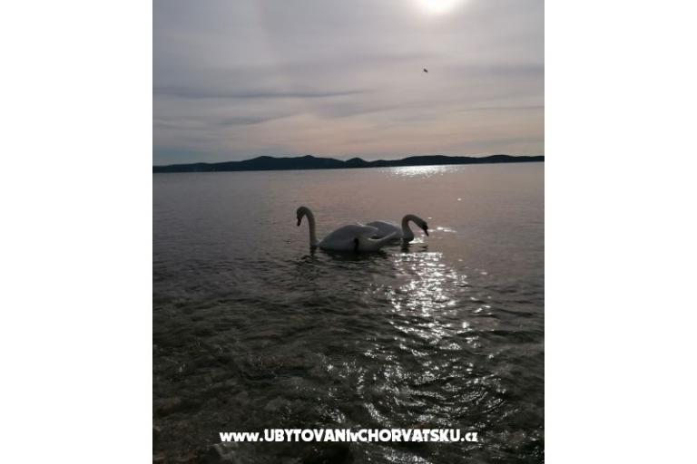 Apartmanok Vinko – fotó 13