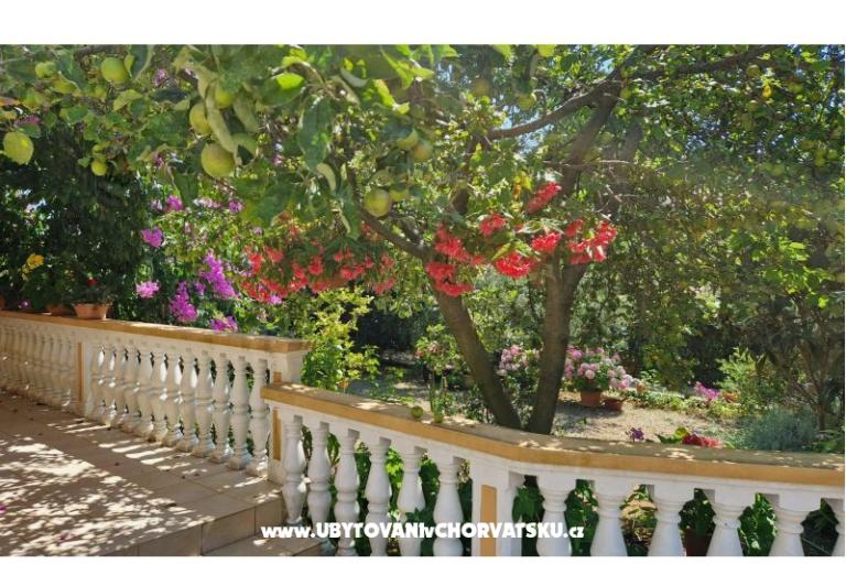 Apartman Mara – fotó 17