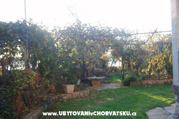 Apartmanok and Ház Spika – fotó 5