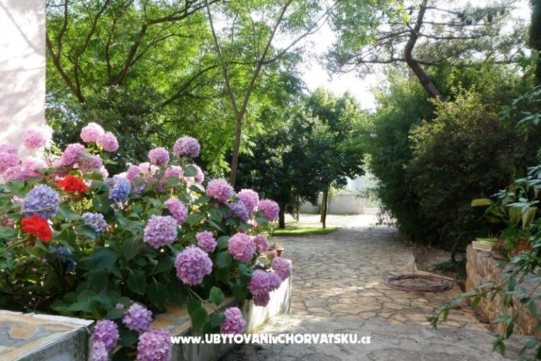 Apartmanok Lolinka Bibinje – fotó 12