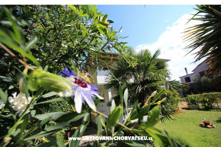 Apartmanok NICOL – fotó 19