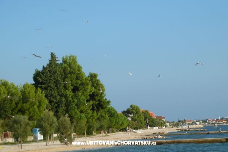 Bibinje Apartmanok – fotó 11