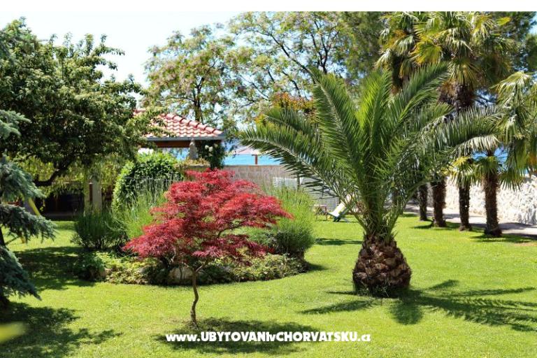 Dragan Apartmanok – fotó 5