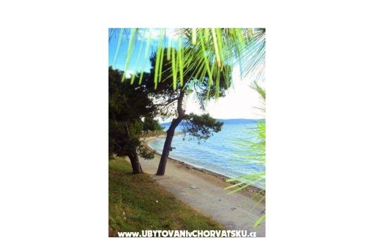 Vakáció Toni – fotó 18
