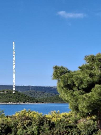Villa D&J – fotó 7